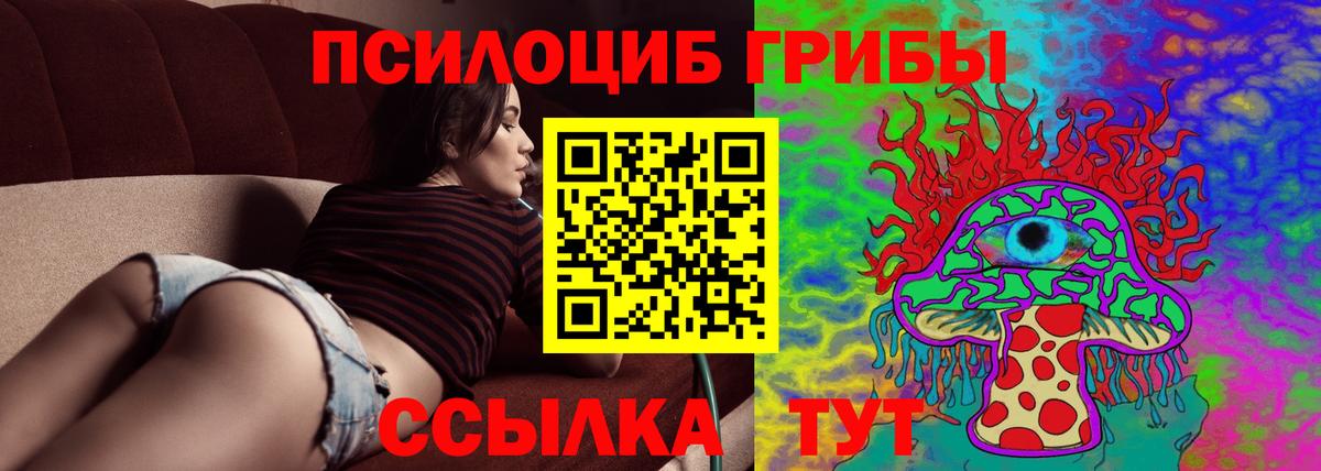 Южно-Сахалинск  Псилоцибиновые грибы Psilocybine cubensis  Вход с VPN 