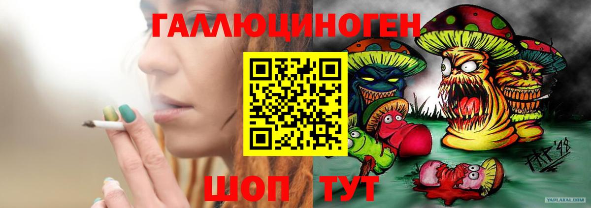 Галлюциногенные грибы Psilocybine cubensis Южно-Сахалинск